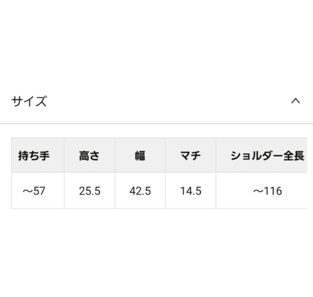 【新品未使用】 ear PAPILLONNER アジャスタートートバッグ 横型