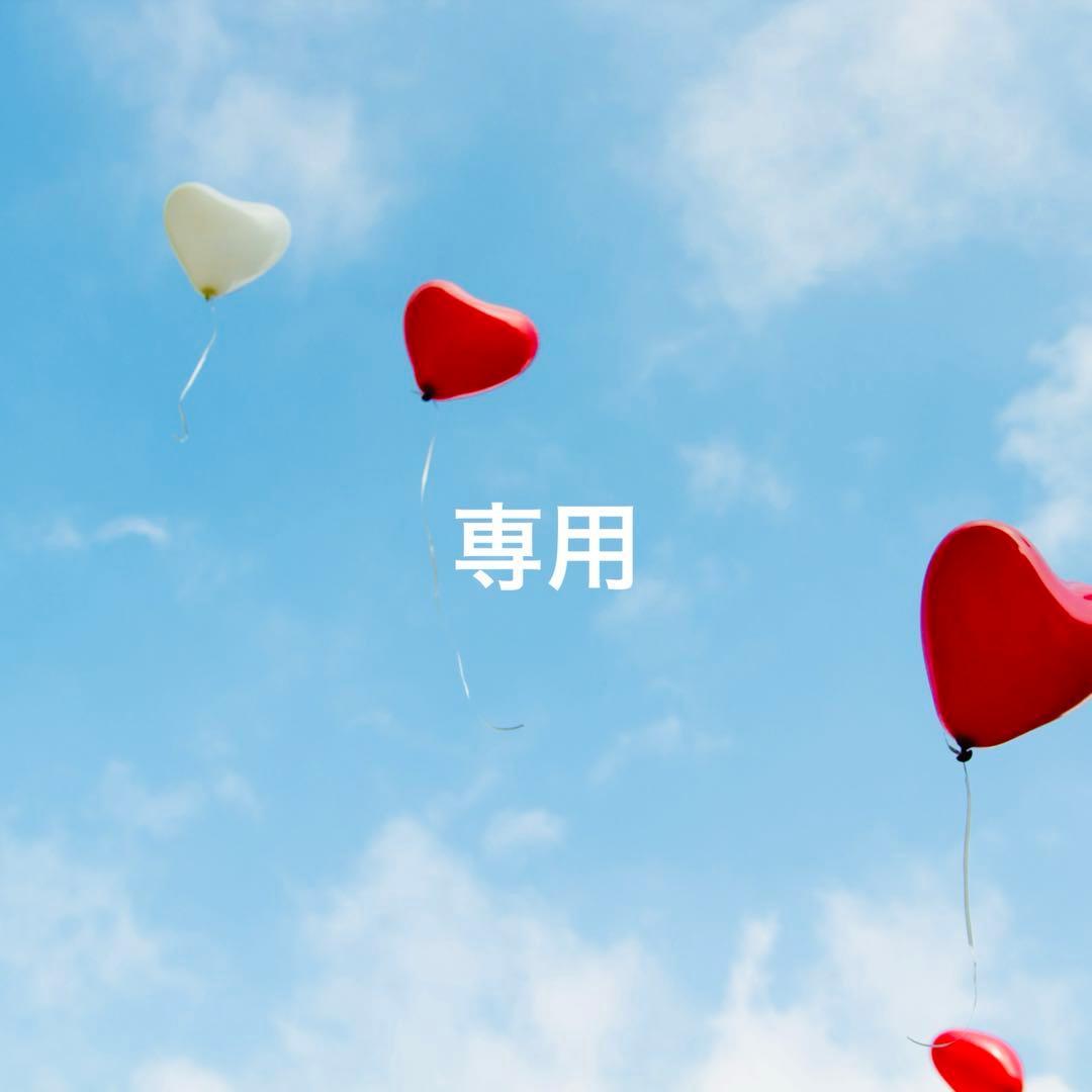 【usako様】ニナファーム クリームレボリューションB-1789【3点】