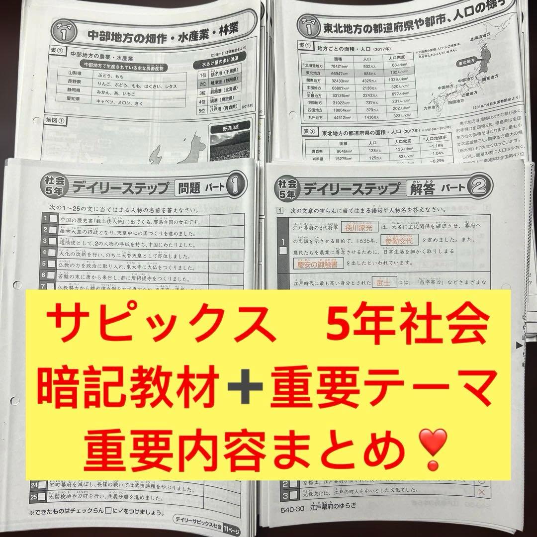 ⑤ サピックス　SAPIX 5年　社会　希少　通年重要内容まとめ❣️ フルセット