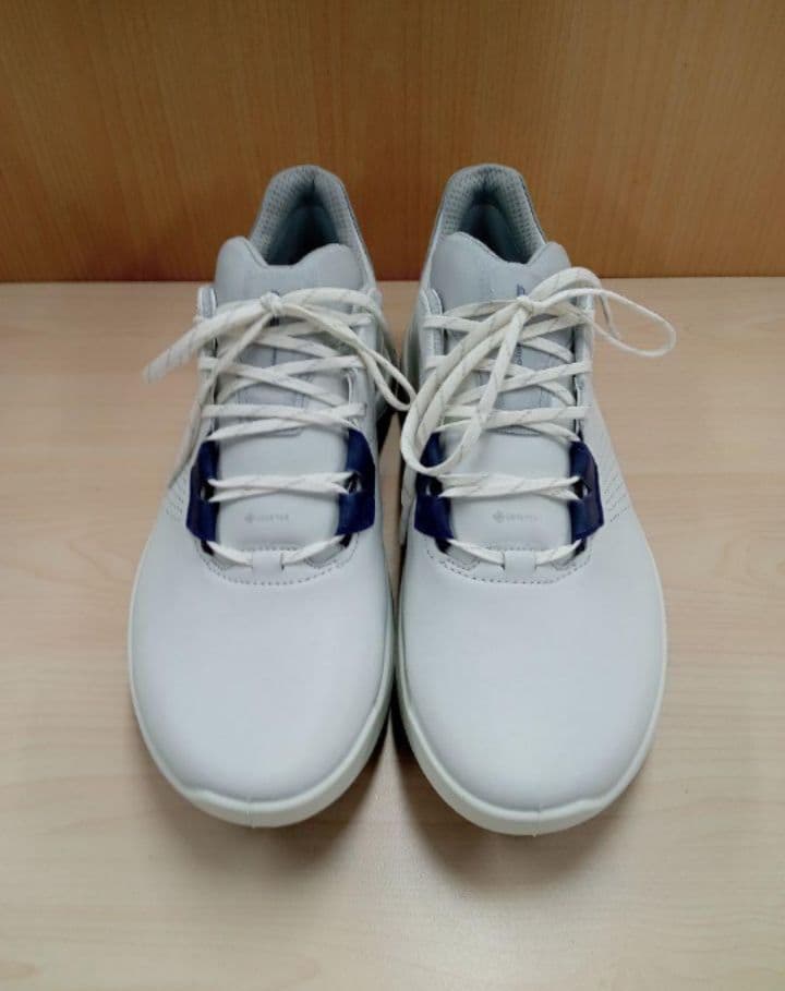 ECCO GOLF メンズ ゴルフシューズ 44サイズ