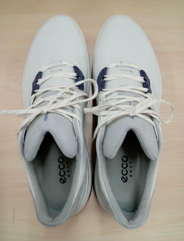 ECCO GOLF メンズ ゴルフシューズ 44サイズ