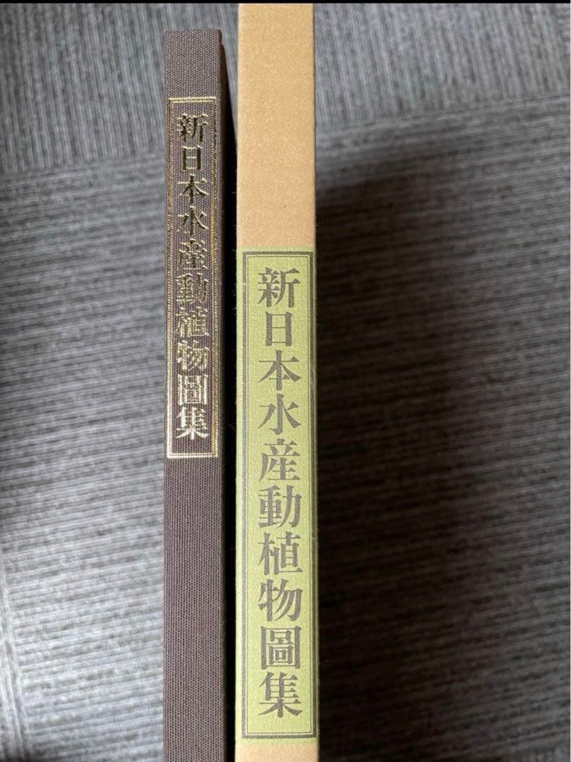 わ*び様 希少　新日本水産 動植物圖集　図鑑　伊藤熊太郎画