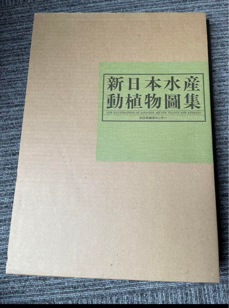わ*び様 希少　新日本水産 動植物圖集　図鑑　伊藤熊太郎画