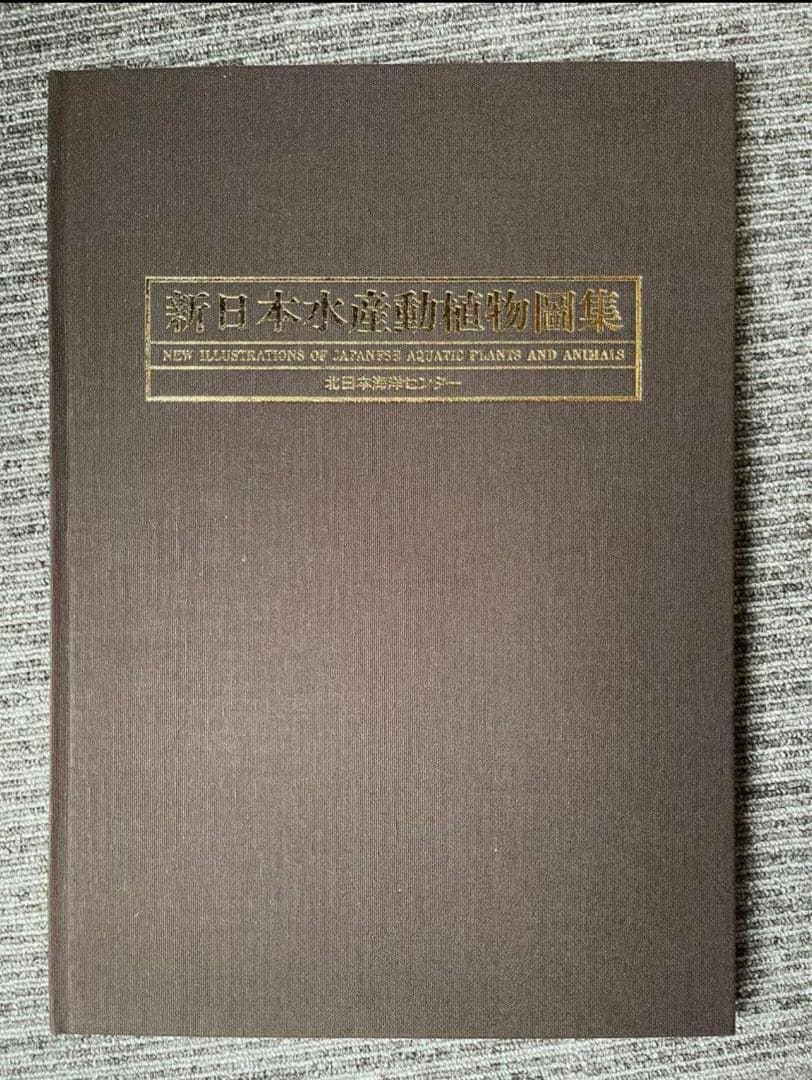 わ*び様 希少　新日本水産 動植物圖集　図鑑　伊藤熊太郎画