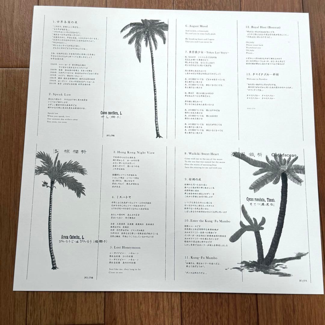 VIDEOTAPEMUSIC/世界各国の夜　アナログレコード（未再生）