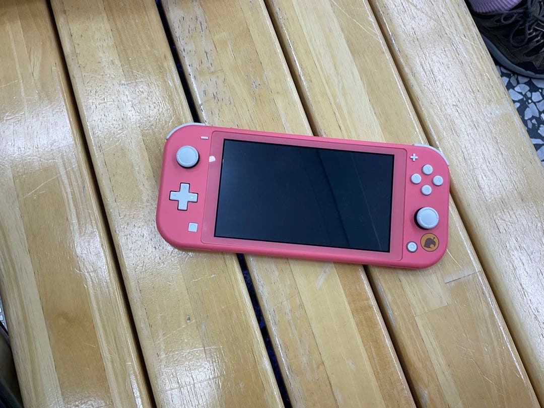 Nintendo Switch Lite ピンク カバー付き