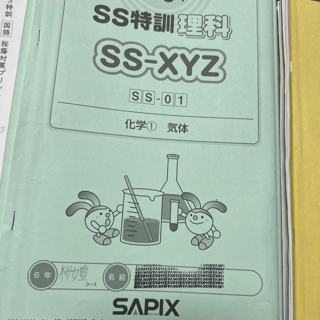 ㉓や　サピックス　SAPIX SS特訓入試模擬演習シリーズ　桜蔭コース　4科目