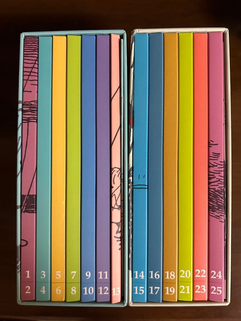 楽しいムーミン一家 DVD BOX 限定SET 上下巻25枚　ムーミン