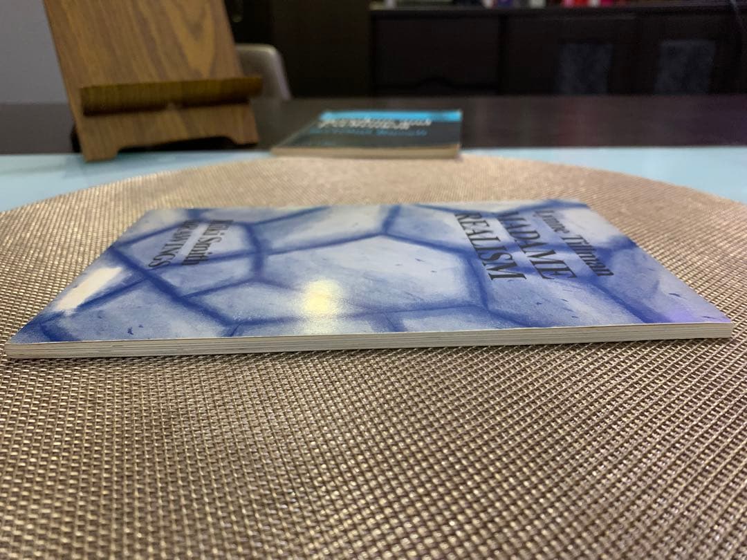 洋書 Lynne Tillman MADAME REALISM Kiki Smith