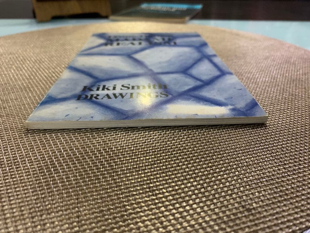 洋書 Lynne Tillman MADAME REALISM Kiki Smith