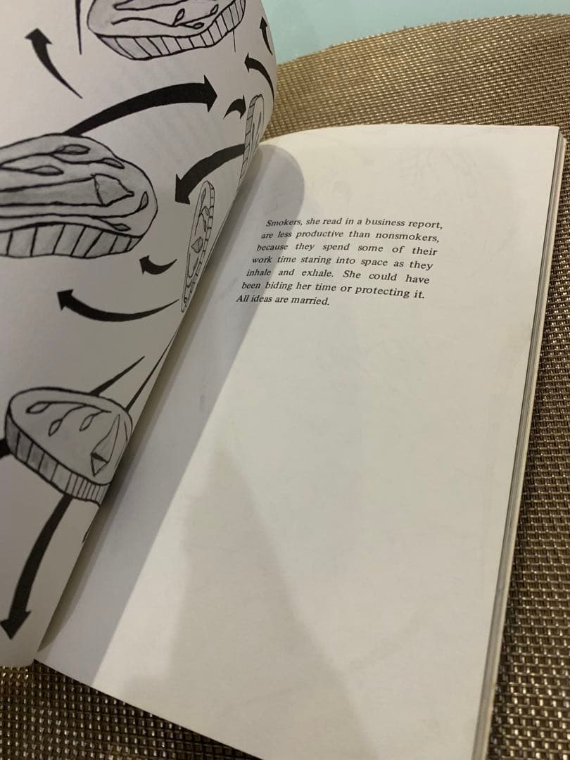 洋書 Lynne Tillman MADAME REALISM Kiki Smith