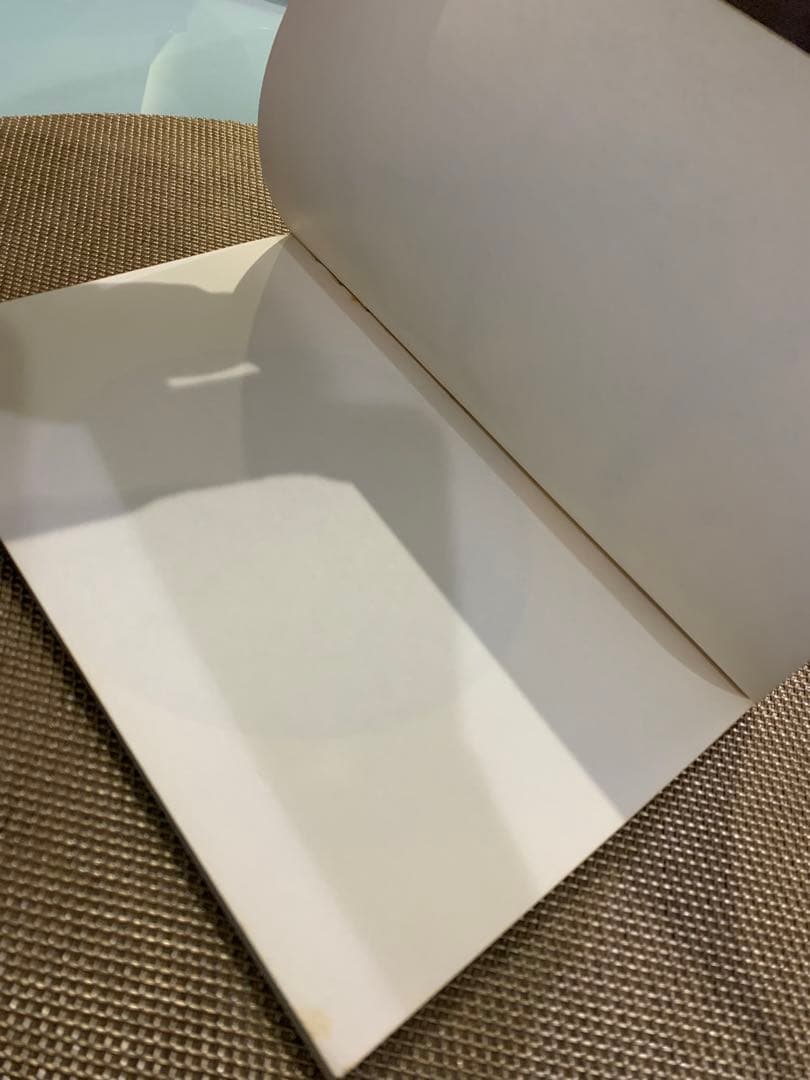 洋書 Lynne Tillman MADAME REALISM Kiki Smith