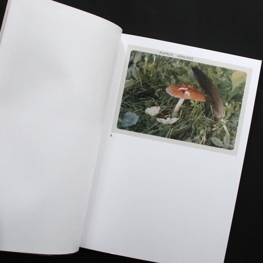 The Mushroom Collector ジェイソン・フルフォード 写真集