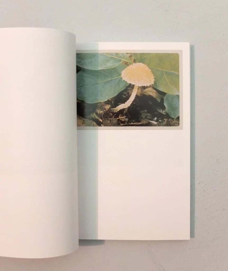 The Mushroom Collector ジェイソン・フルフォード 写真集