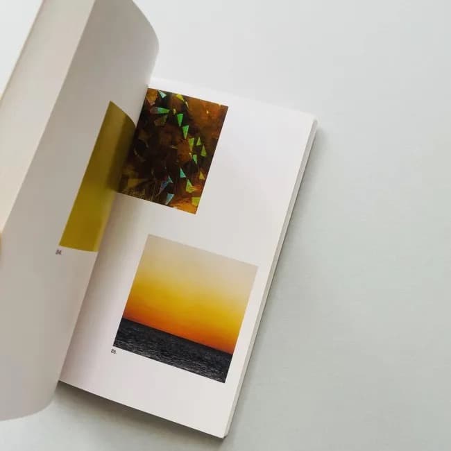 The Mushroom Collector ジェイソン・フルフォード 写真集