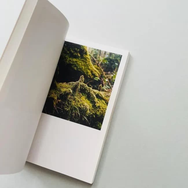 The Mushroom Collector ジェイソン・フルフォード 写真集