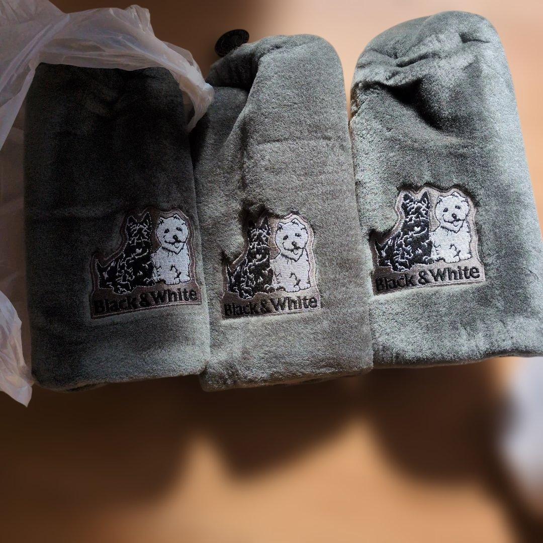 レア物✨️MIZUNOゴルフセット✨️