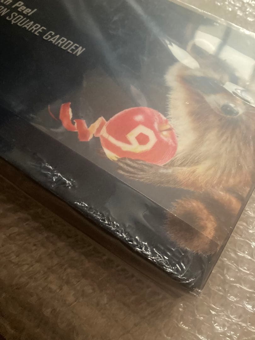 美品　UNISON SQUARE GARDEN「Ninth Peel」 限定盤