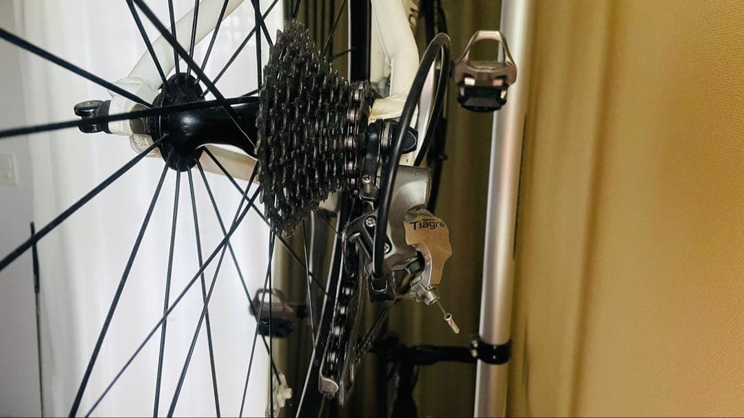 ルイガノLOUIS GARNEAU CTR ロードバイク 460mm 20SP