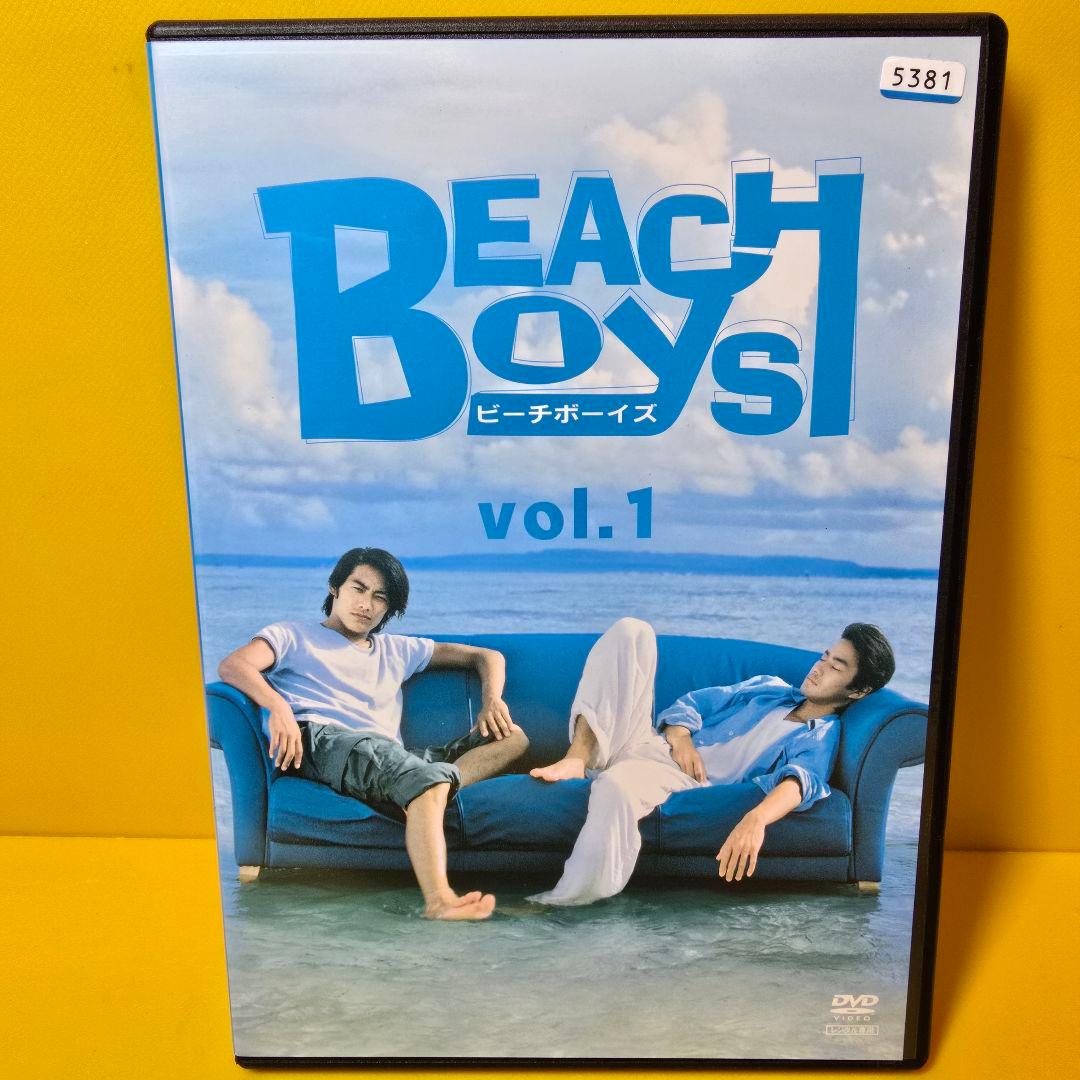 新品ケース 交換済み　ビーチボーイズ DVD全6巻