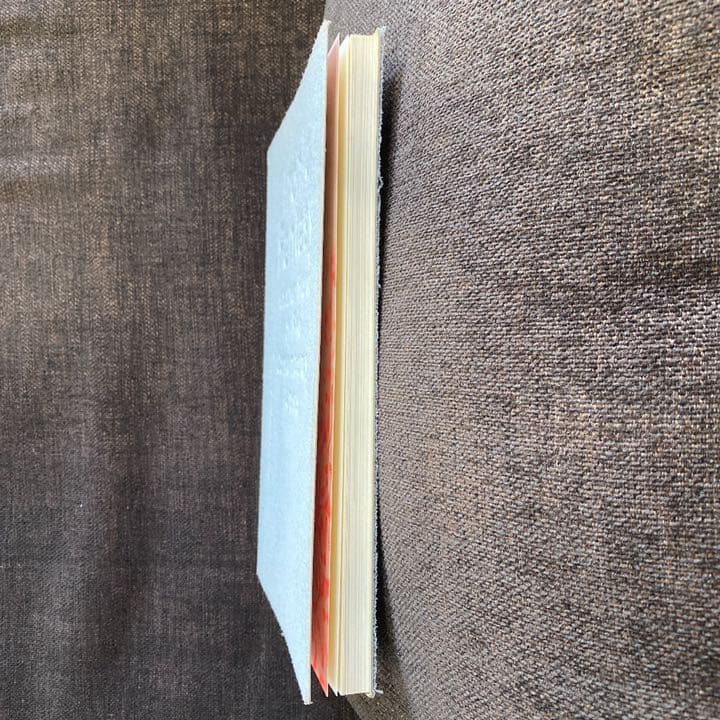 村上隆　奈良美智　Ironic Fantasy