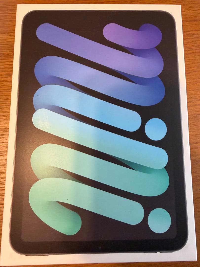 iPad mini スペースグレー 第7世代　セルラーモデル