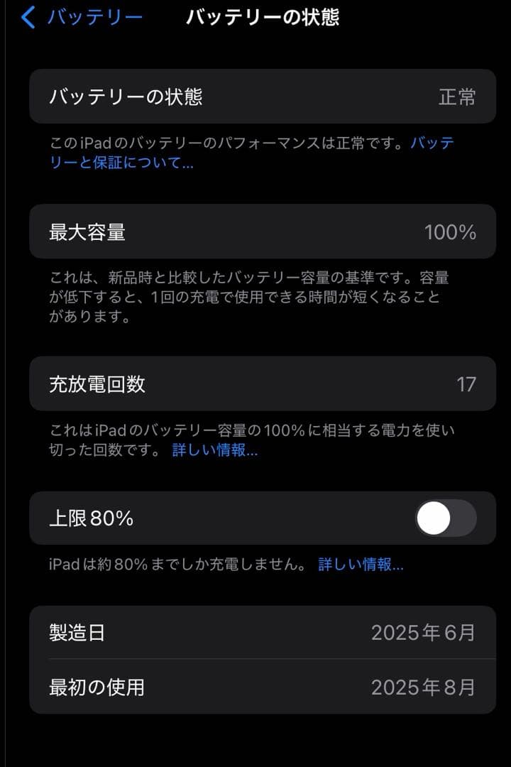 iPad mini スペースグレー 第7世代　セルラーモデル