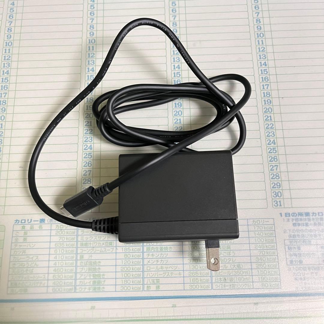 Nintendo Switch Lite ターコイズ 付属品完備 2025年製造