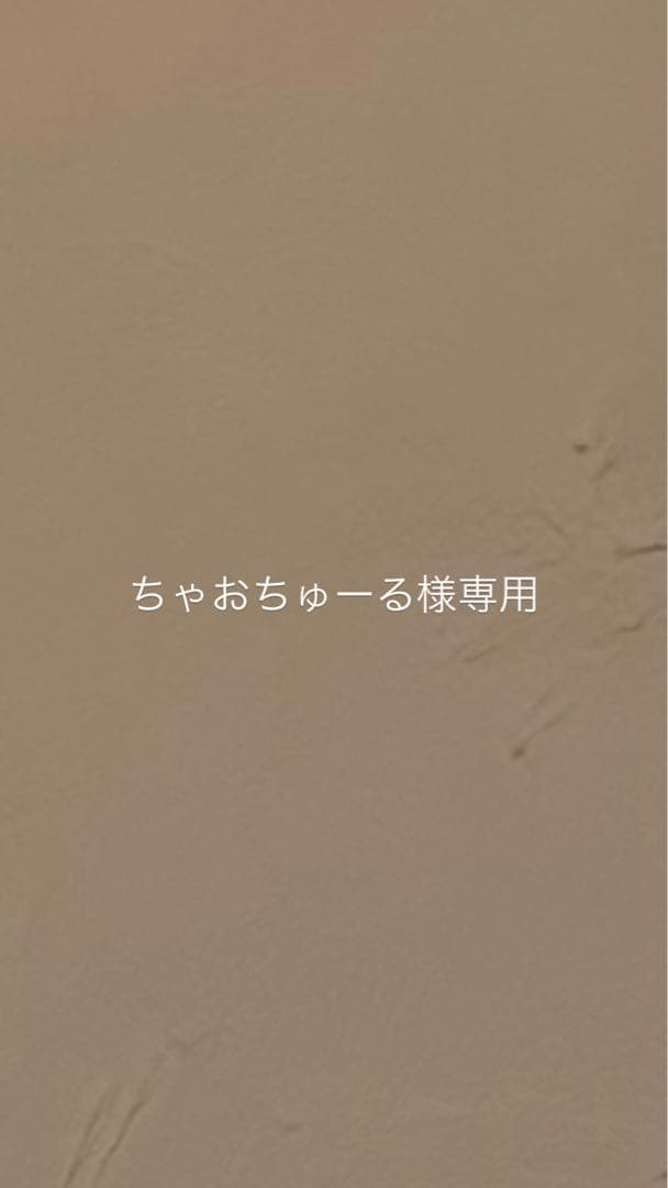 CELINE ショルダーバッグ ブラック