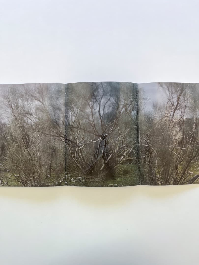 アート・デザイン・音楽 JAVIER VALLHONRAT - BOM - 2006