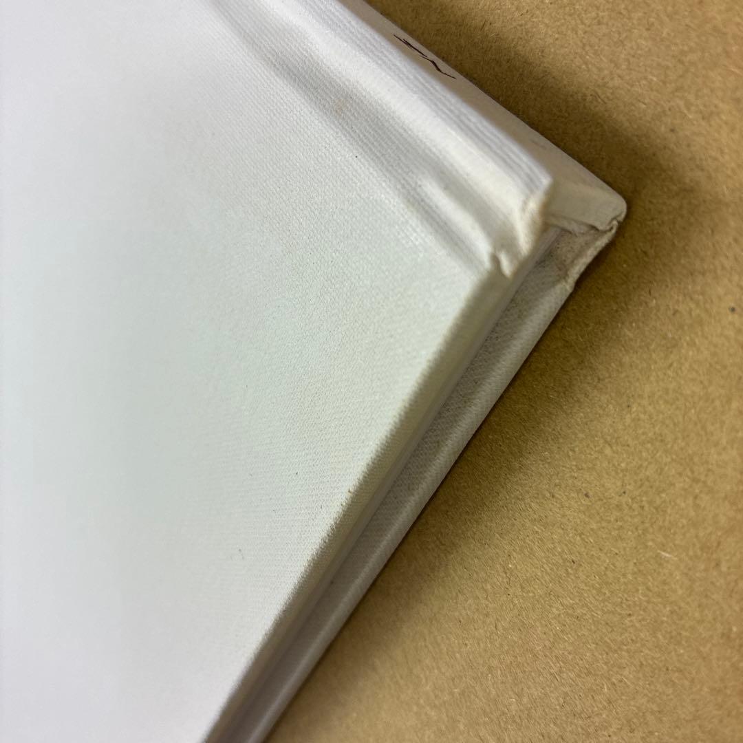 洋書 A ROAD DIVIDED Todd Hido