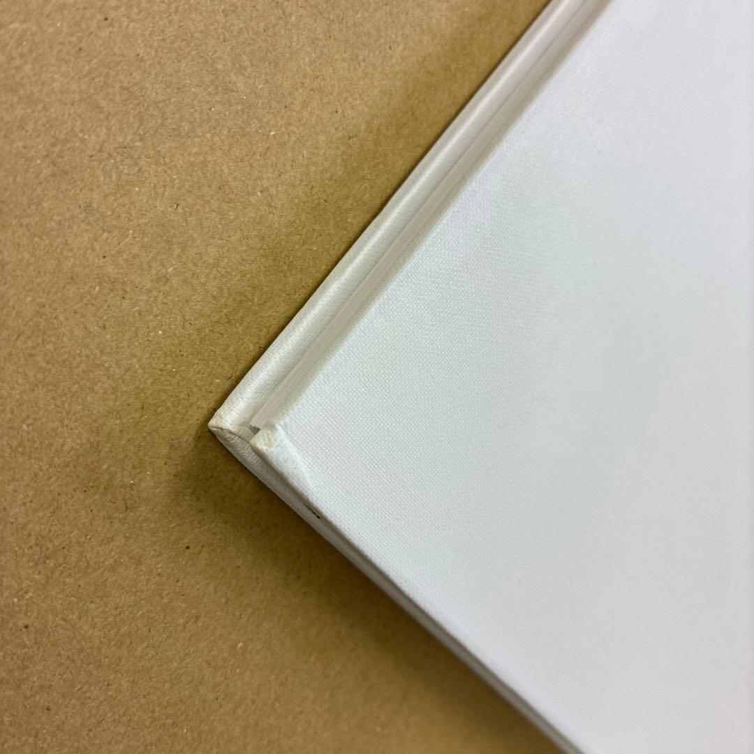 洋書 A ROAD DIVIDED Todd Hido