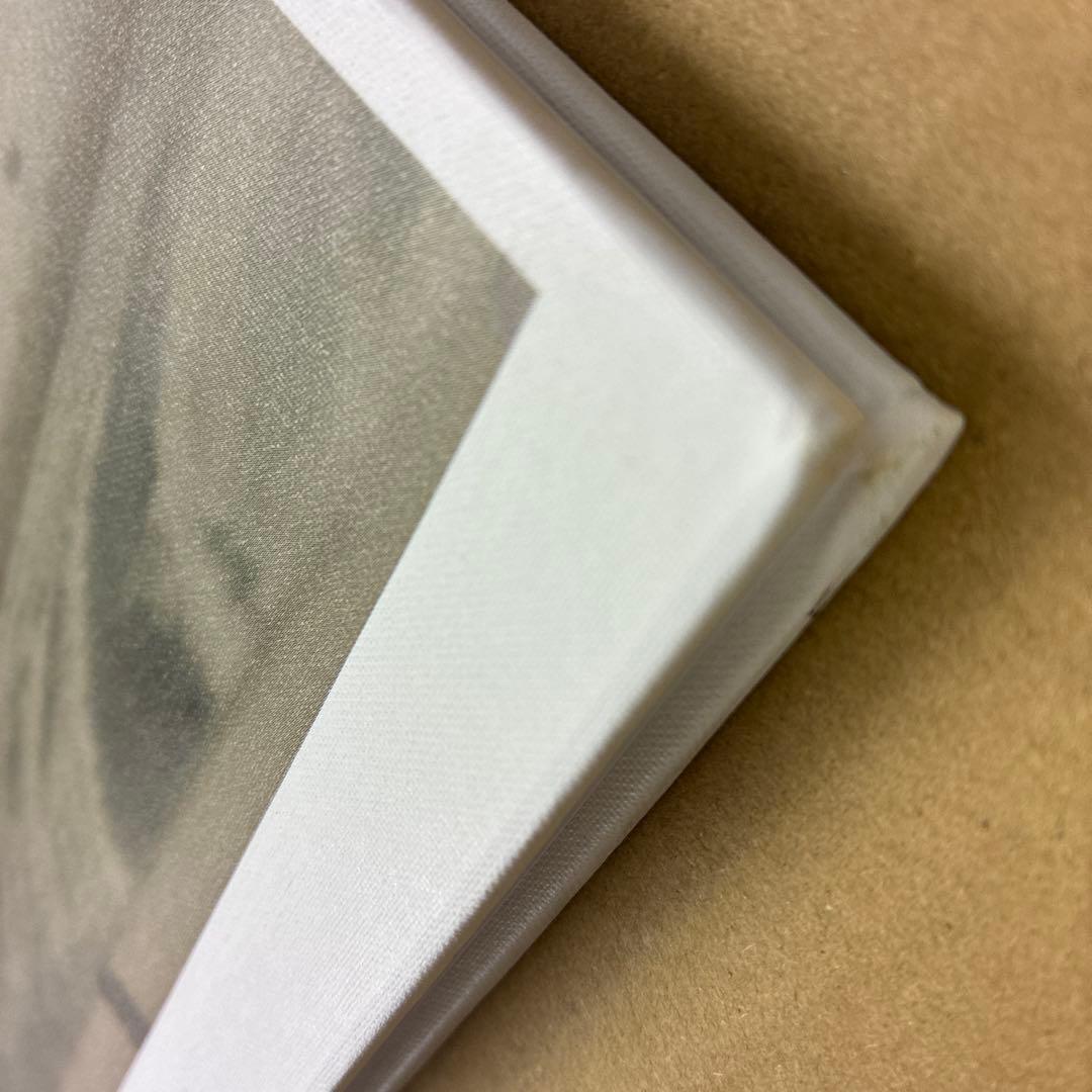 洋書 A ROAD DIVIDED Todd Hido