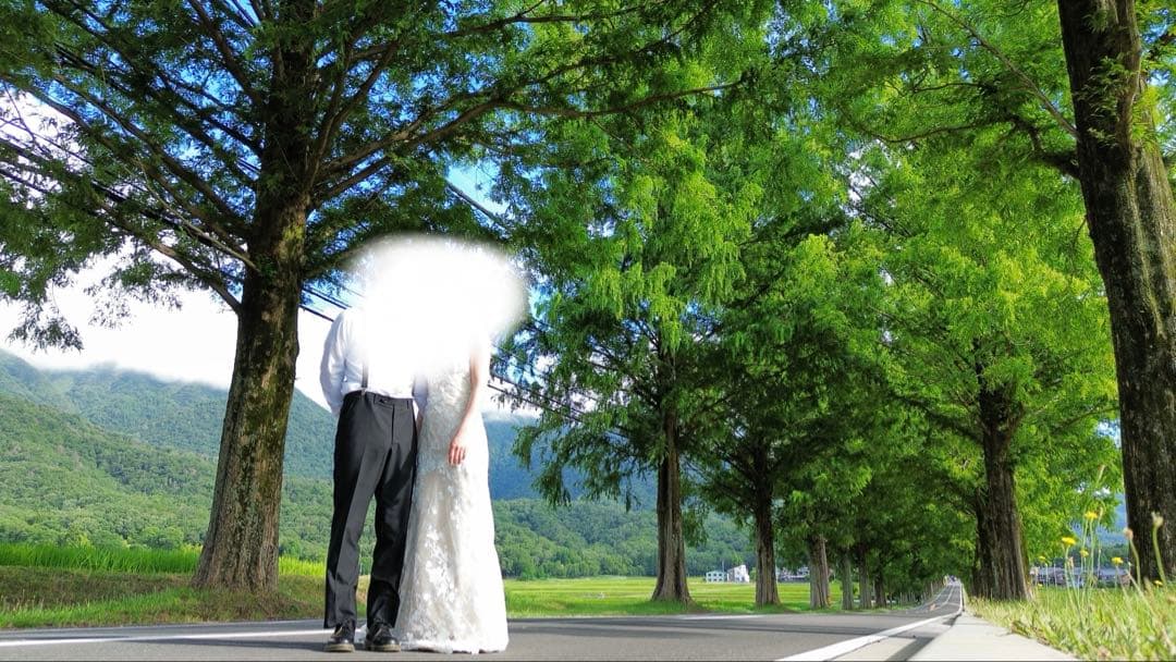 にのみや　ドレスプロダクション W230 ウェディングドレス