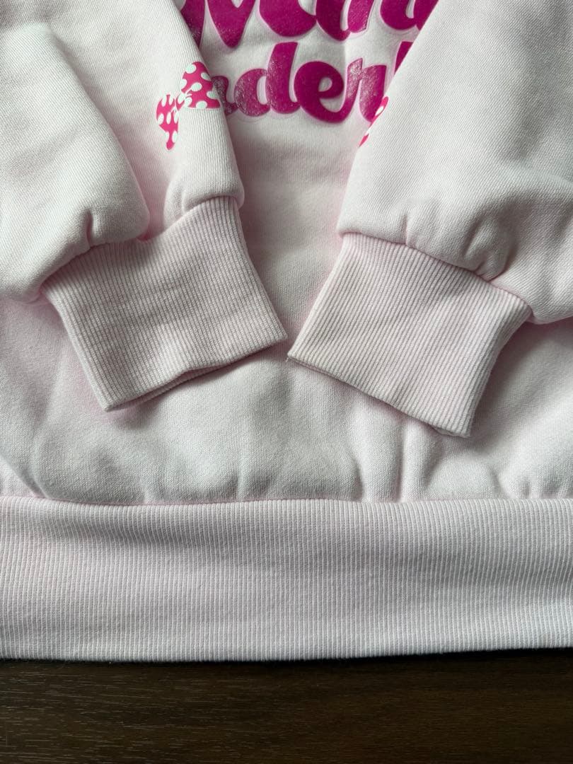 ミニー ファンダーランド トレーナー パルパルーザ