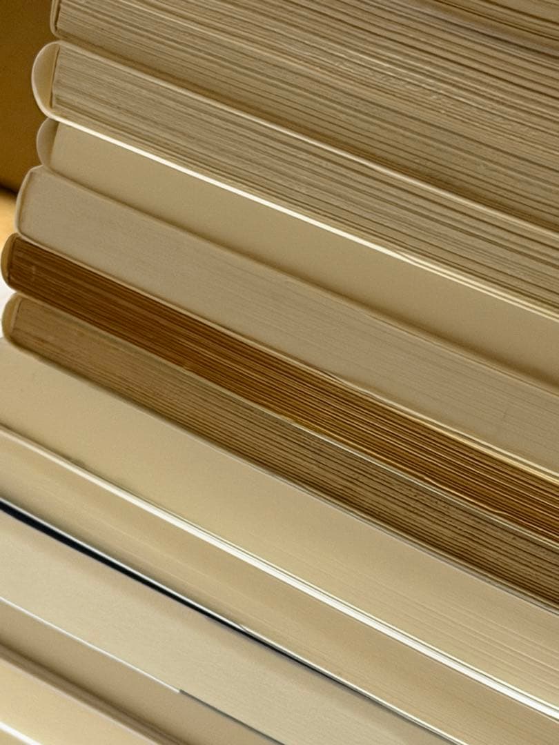 中公新書、岩波新書、など 59冊セット まとめ売り