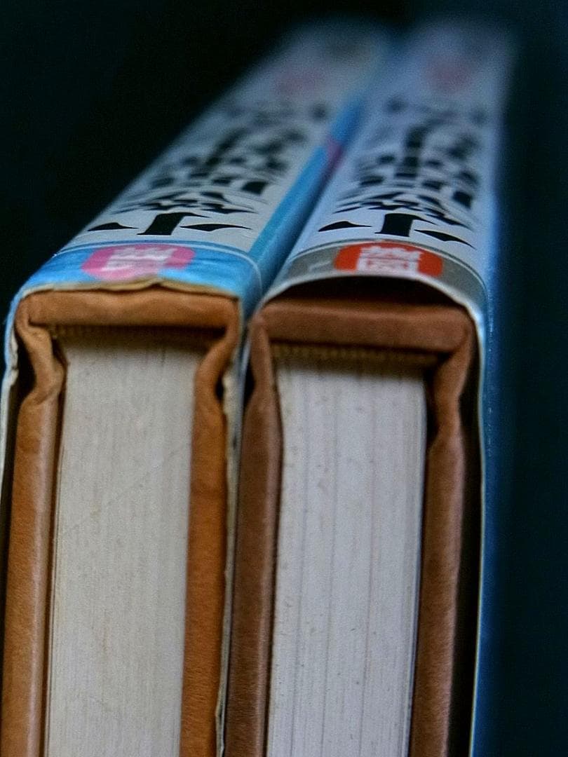 小笠原忠統 図解 小笠原流礼法入門 上・下 揃