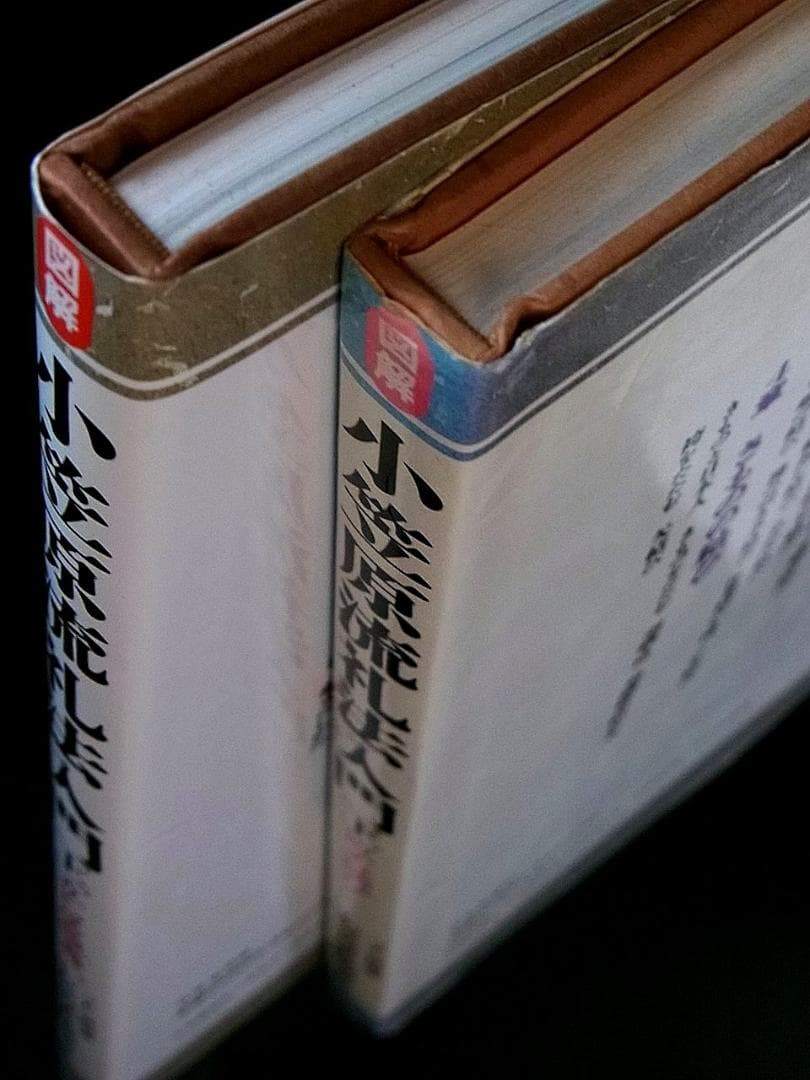 小笠原忠統 図解 小笠原流礼法入門 上・下 揃