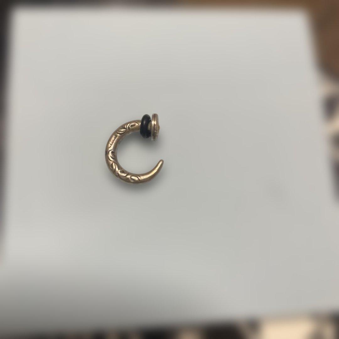 あるじゃん フックピアス 早い者勝ち