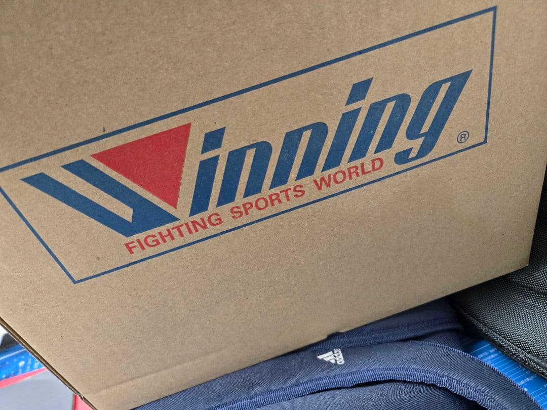 最終プライス❗❗Winning ヘッドギア ホワイト Mクリスマスギフト