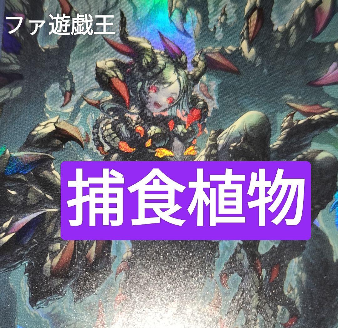 遊戯王デッキ　捕食植物デッキ　ガチ構築　プレデタープランツ