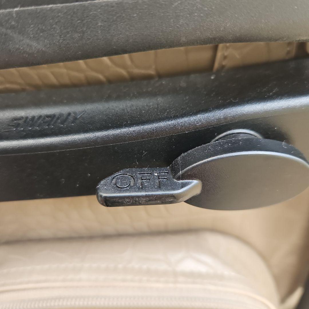 スワニー　　クロコダイル調　キャリーバッグ