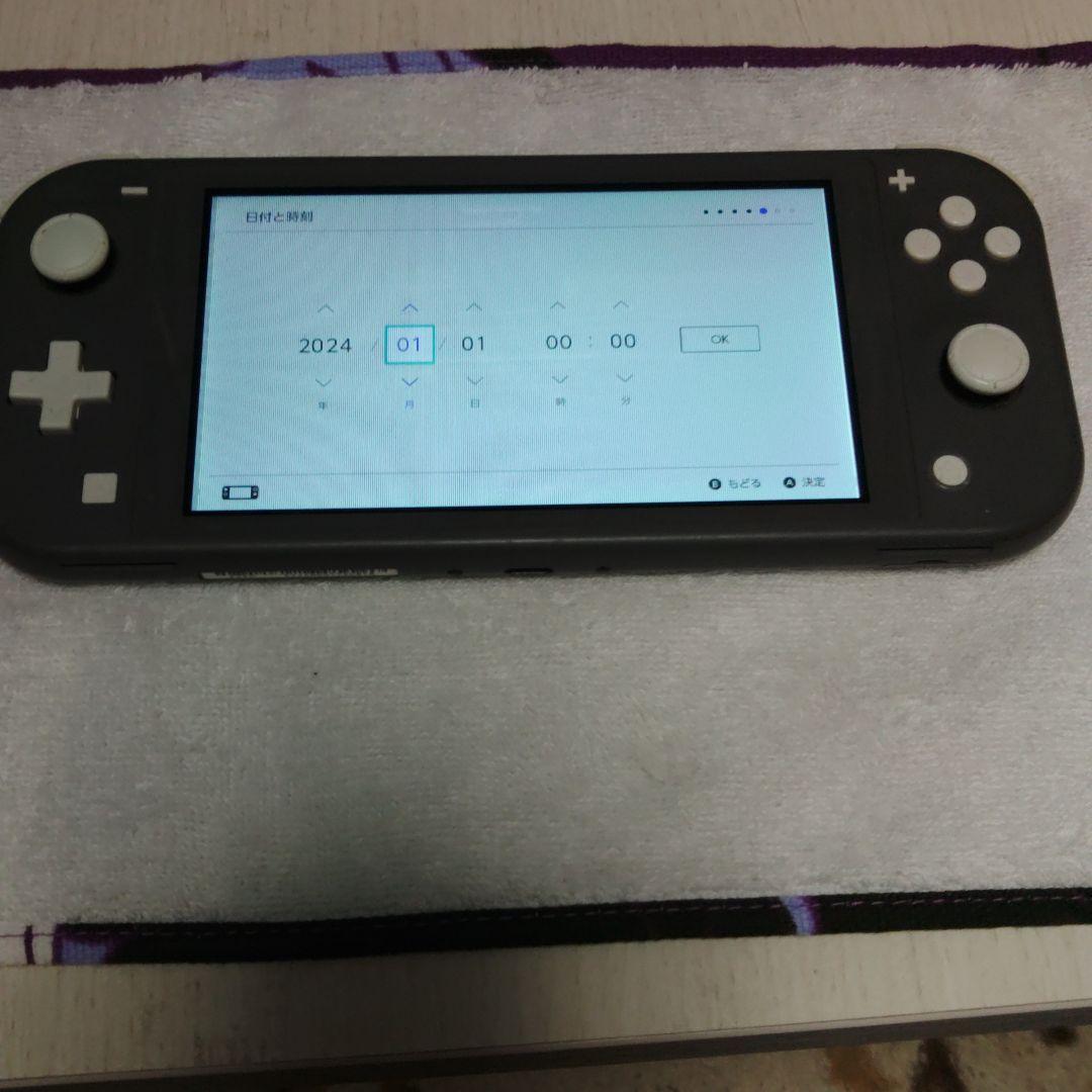 switchライト　本体　画面不良