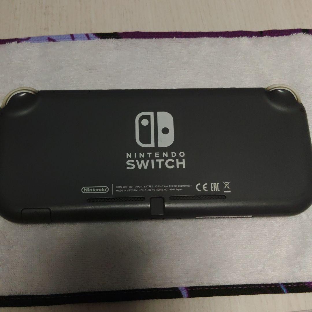 switchライト　本体　画面不良