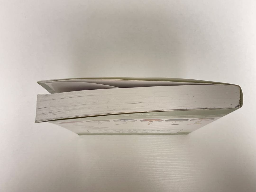 クライン 有機化学 上・下 セット