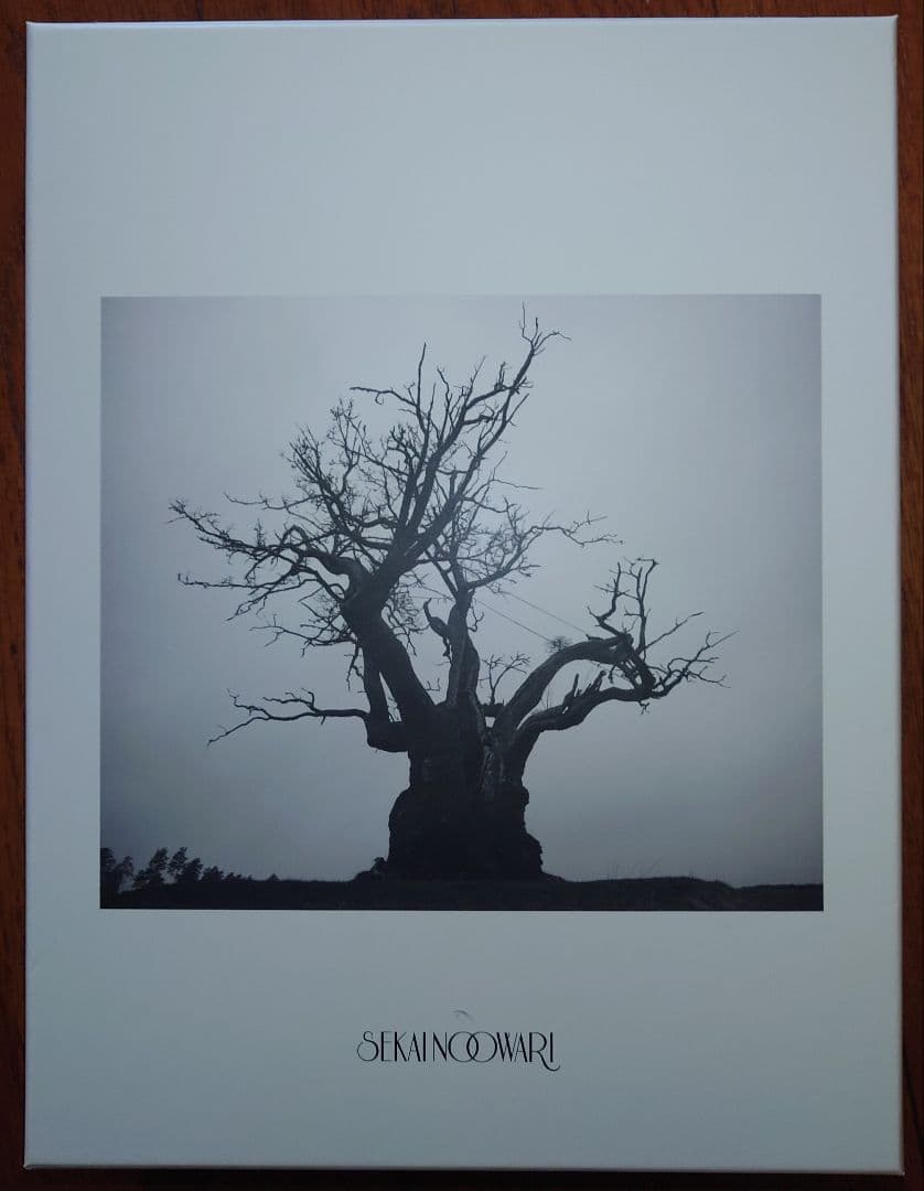 『SEKAI NO OWARI 2010-2019』（生産限定盤）