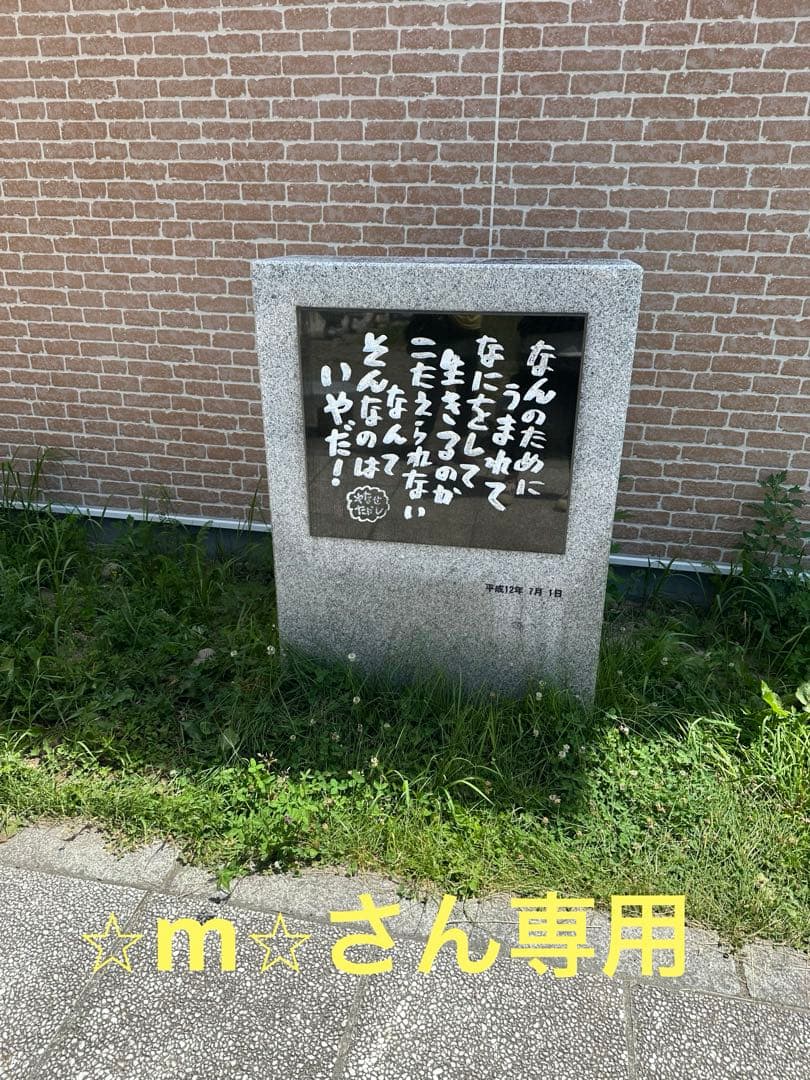 ⭐︎m⭐︎さん専用