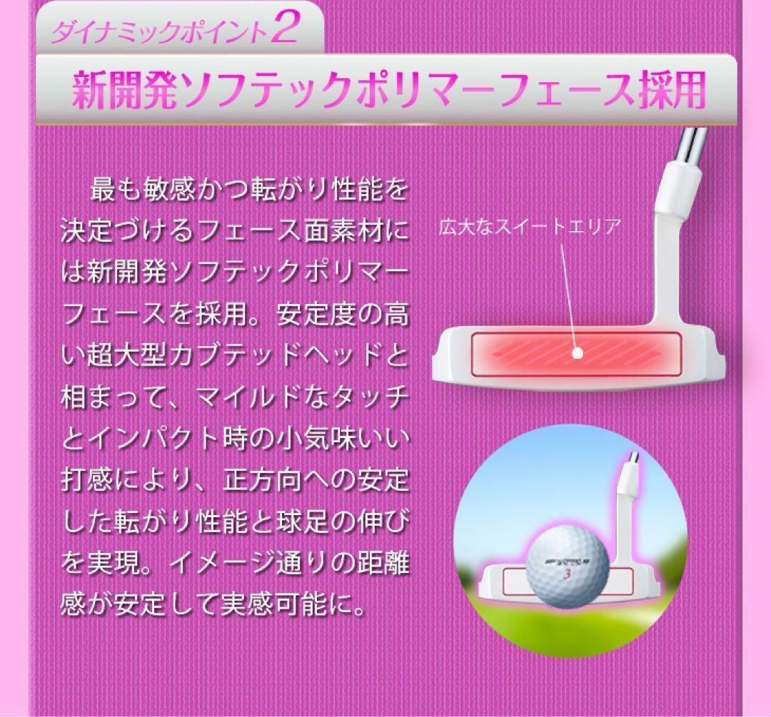 【新型新発売】★極太グリップと大型ヘッドの安定感抜群のダイナミクスレディスパター