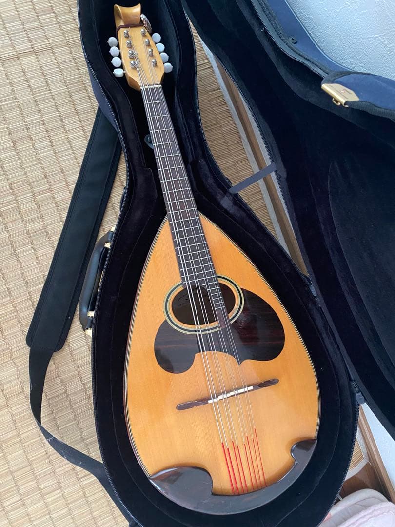 SUZUKI マンドラ 純正ケース付