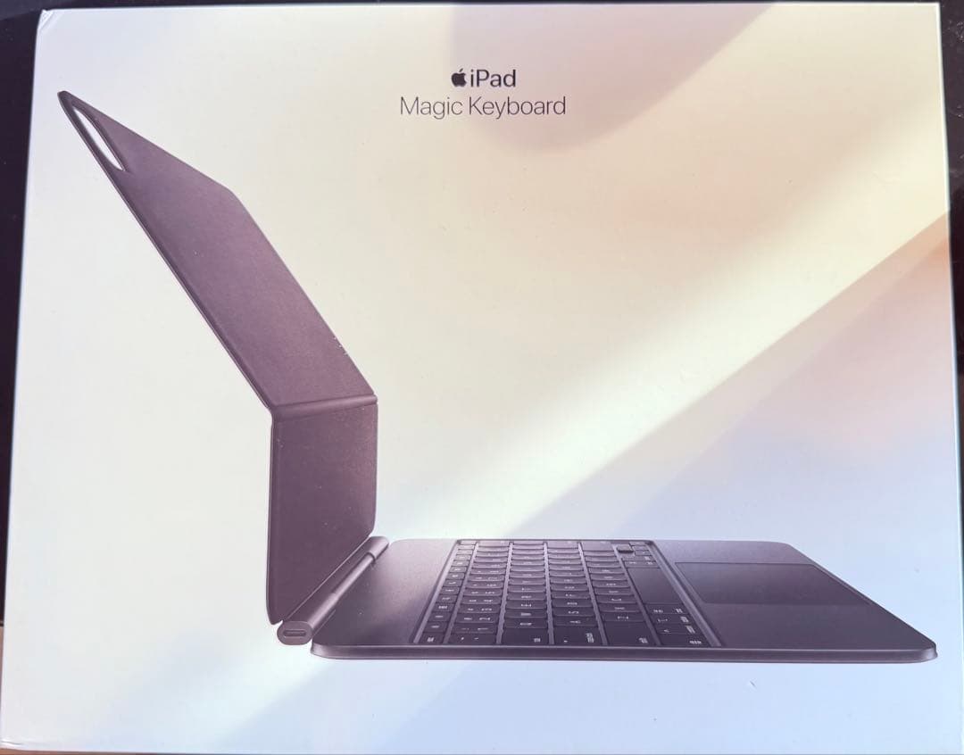 iPad Pro (M4) 13インチ Wi-Fi + Cellular